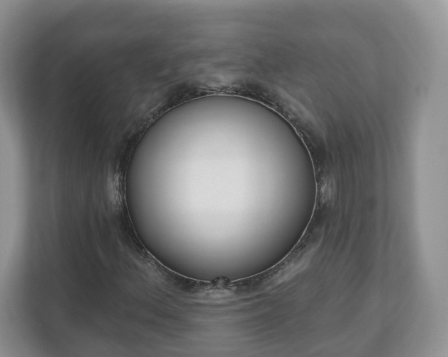 X0000110901156200906251332
