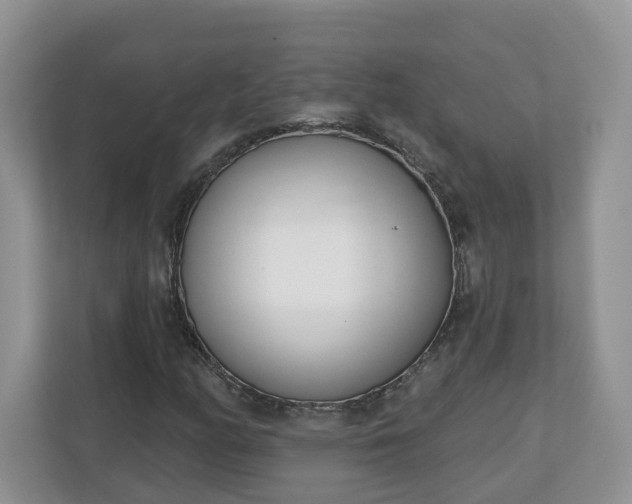 X0000110901158200906251332