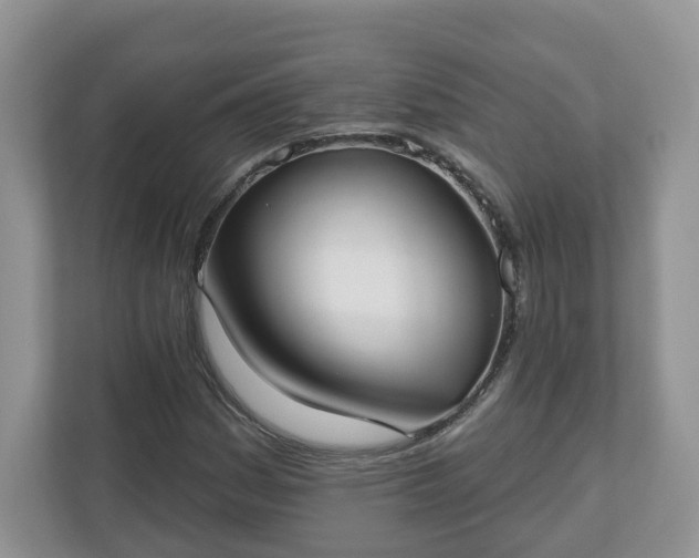 X0000110901161200906251332