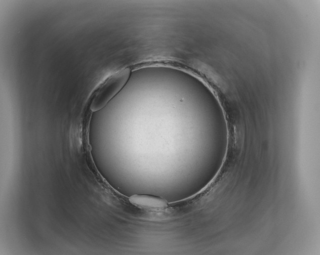 X0000110901165200906251332