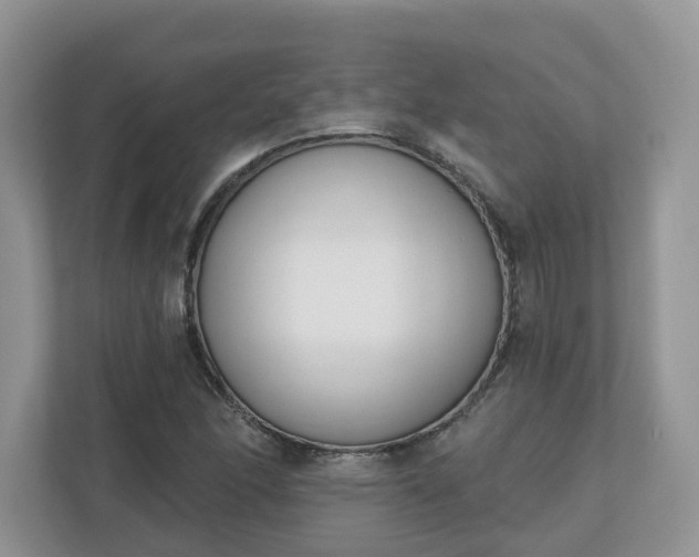 X0000110901166200906251332