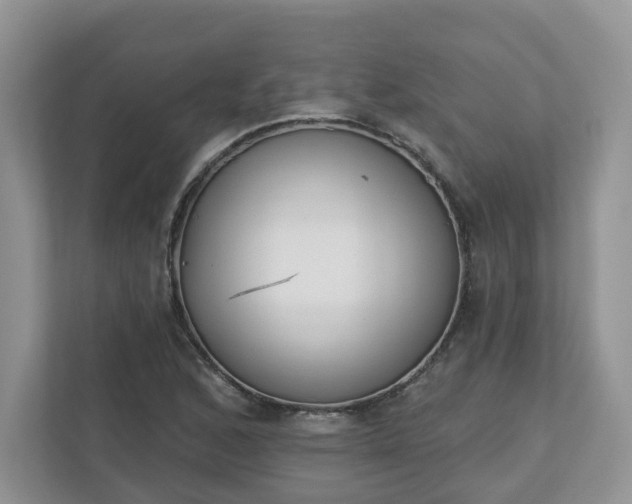 X0000110901168200906251331