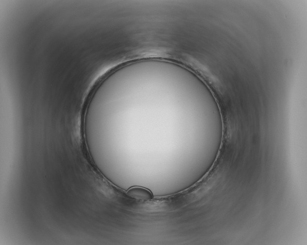 X0000110901174200906251331