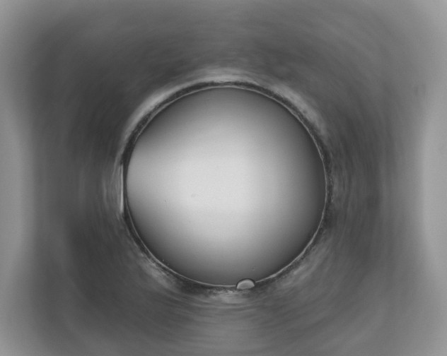 X0000110901175200906251331