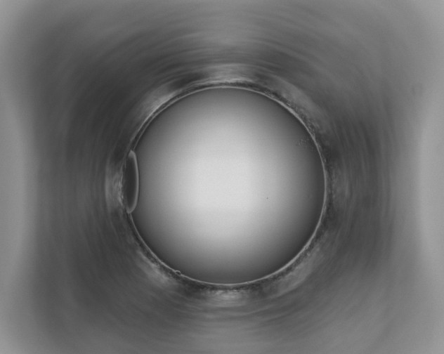 X0000110901177200906251331