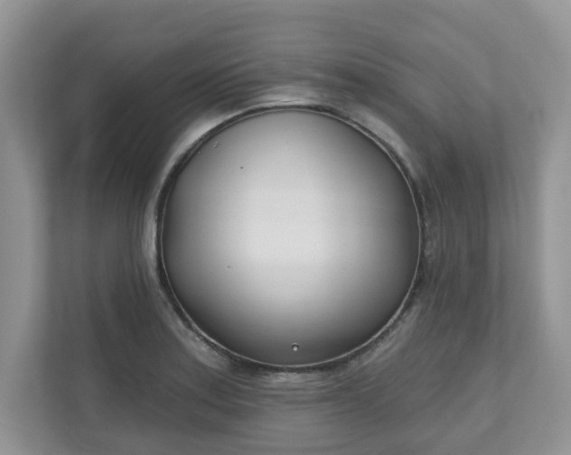 X0000110901179200906251331