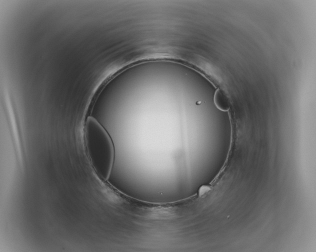 X0000110901181200906251331