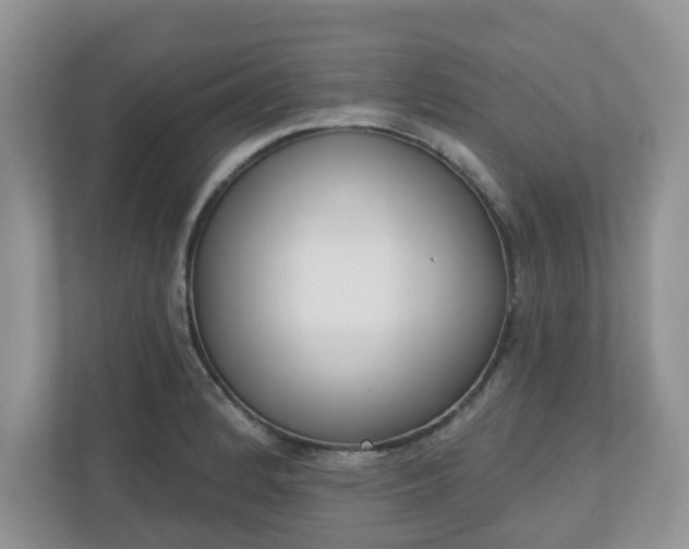 X0000110901184200906251331