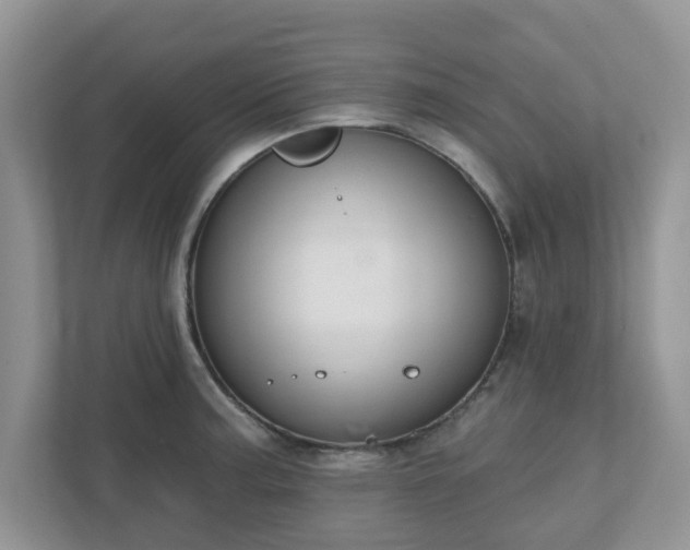 X0000110901187200906251331