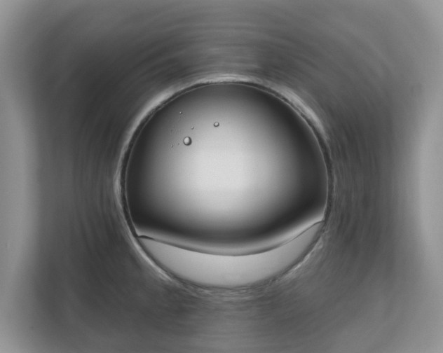 X0000110901189200906251331