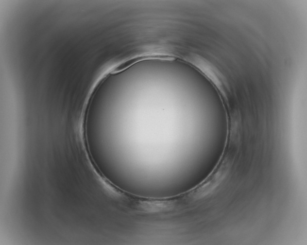 X0000110901197200906251331
