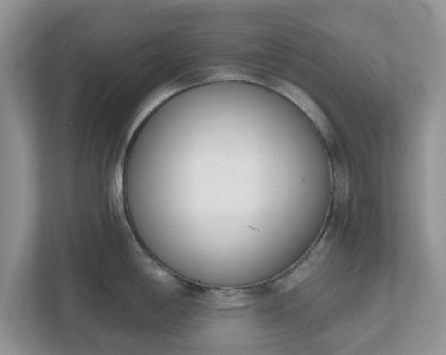 X0000110901198200906251331