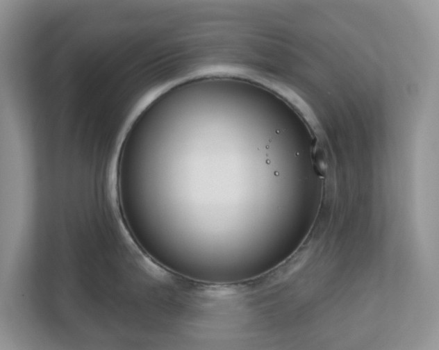 X0000110901199200906251331