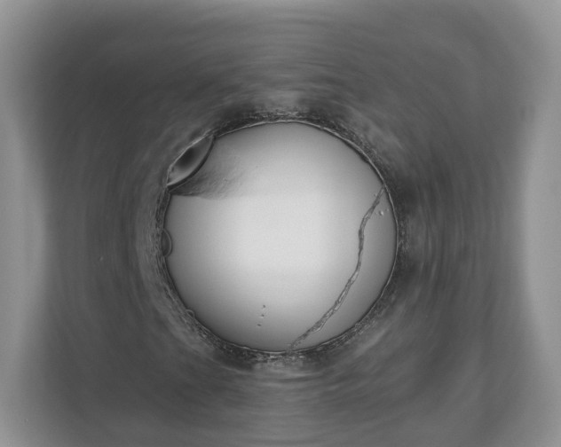 X0000110901201200906251330