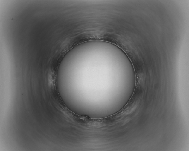 X0000110901202200906251330