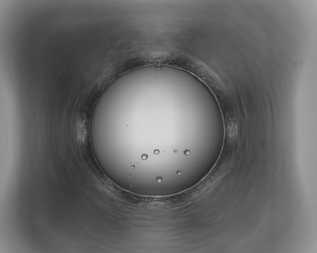 X0000110901204200906251330