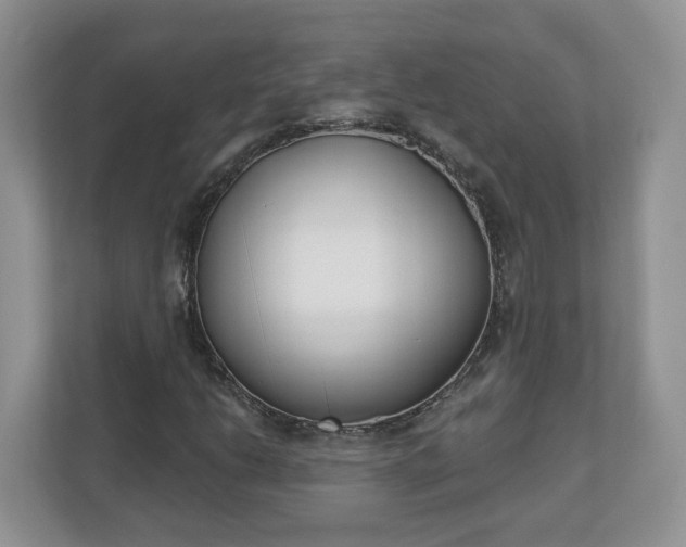 X0000110901206200906251331