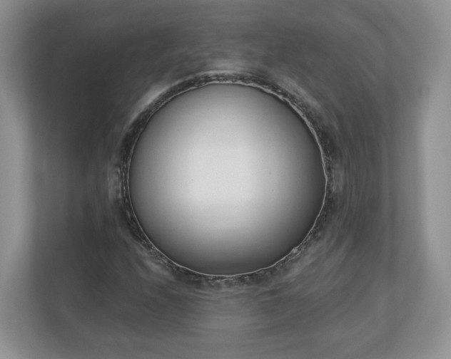 X0000110901208200906251331