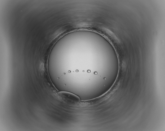 X0000110901209200906251331