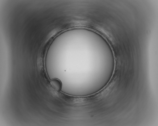 X0000110901211200906251331