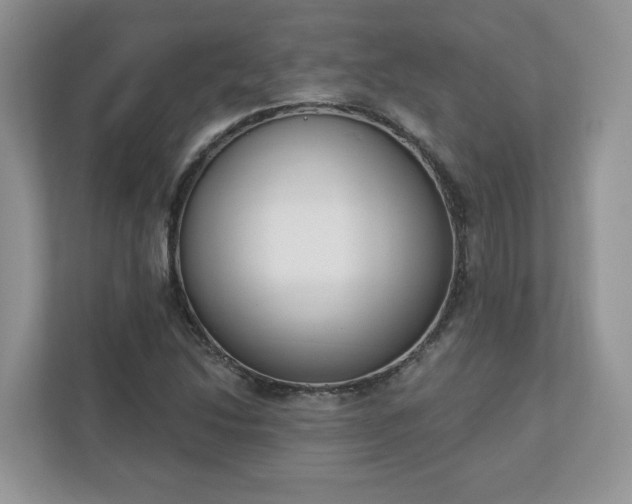X0000110901214200906251331