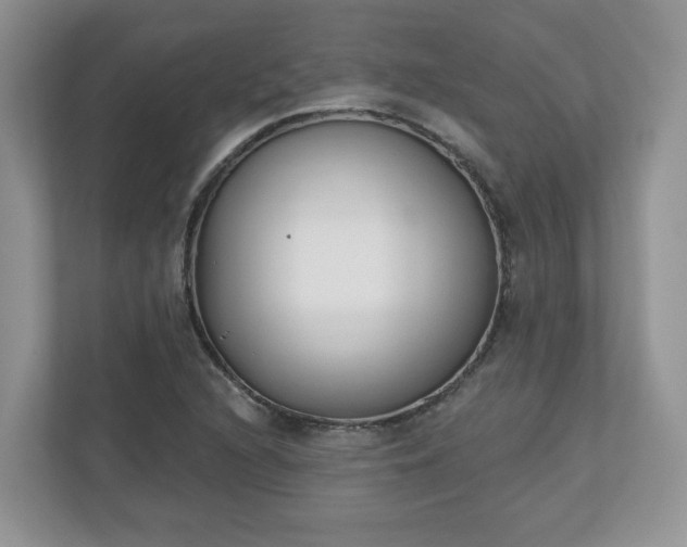 X0000110901216200906251331