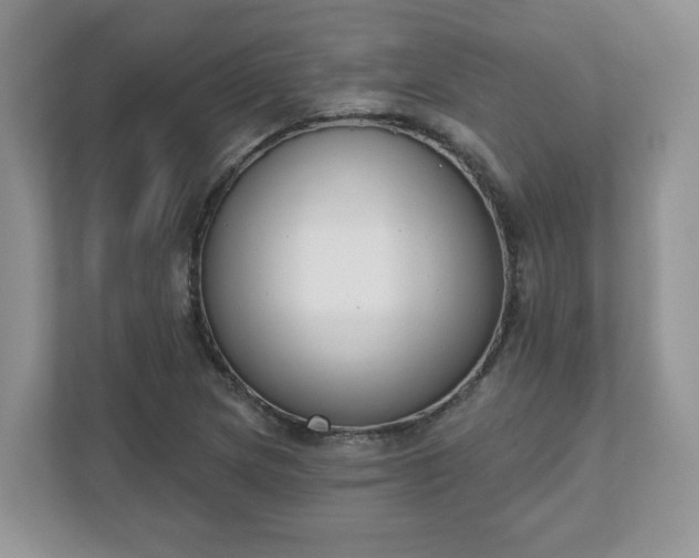 X0000110901217200906251331
