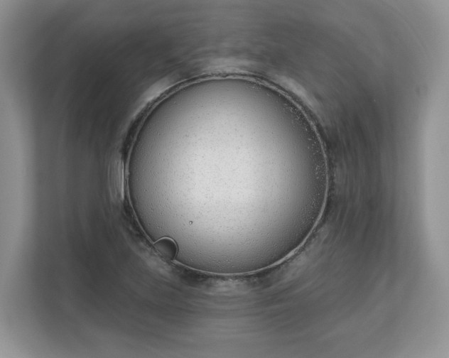 X0000110901219200906251331