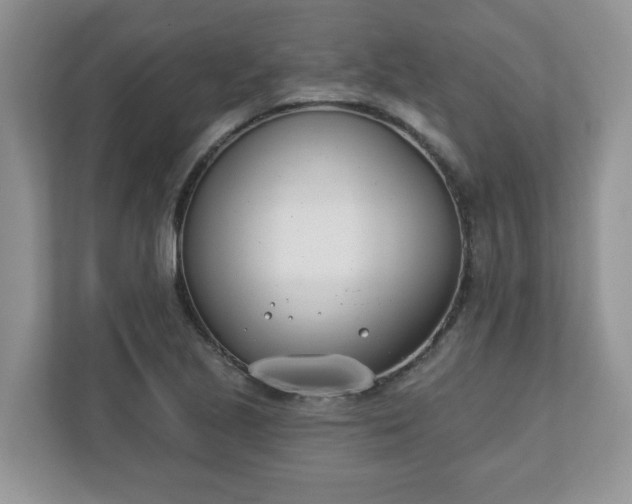 X0000110901221200906251331
