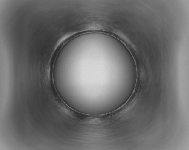 X0000110901222200906251331