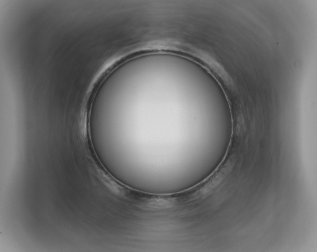 X0000110901224200906251331