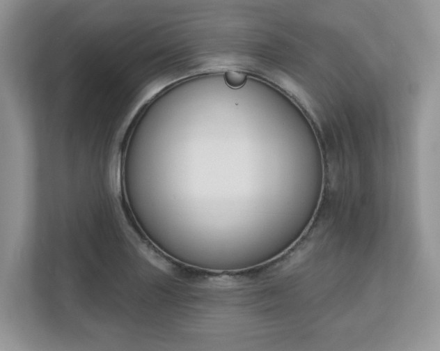 X0000110901227200906251331