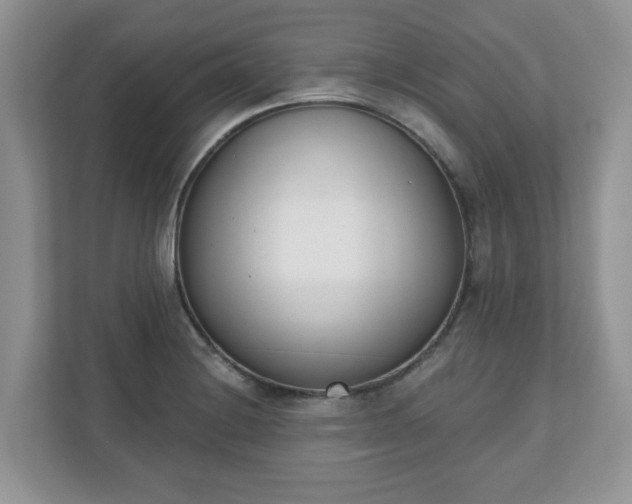 X0000110901228200906251331