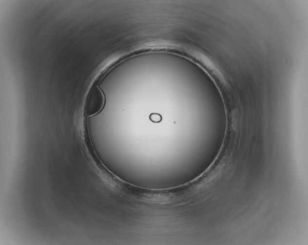 X0000110901229200906251331