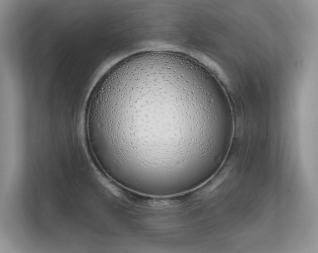 X0000110901231200906251331