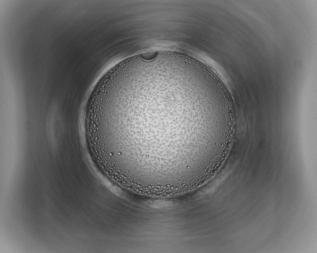 X0000110901235200906251331