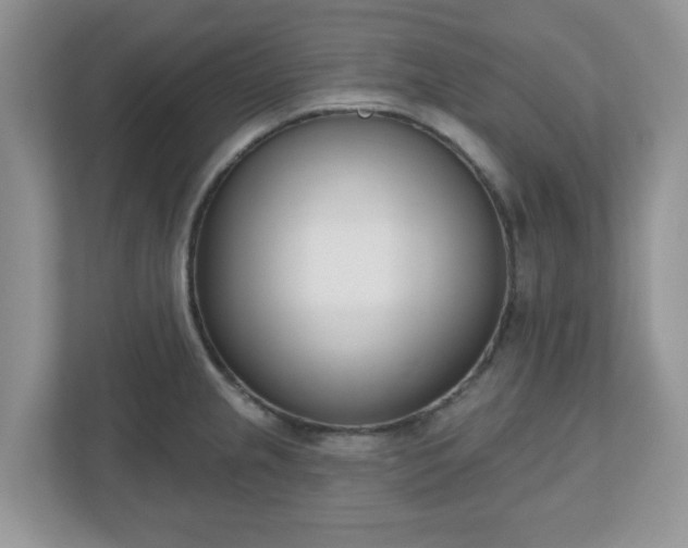 X0000110901237200906251331