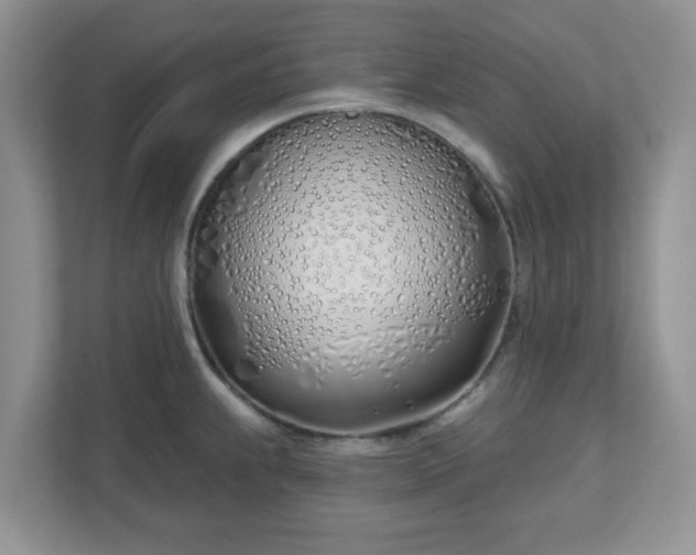 X0000110901239200906251331