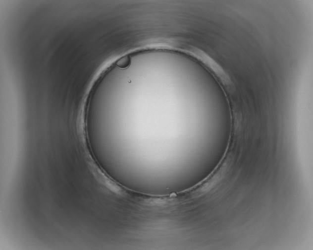 X0000110901240200906251331