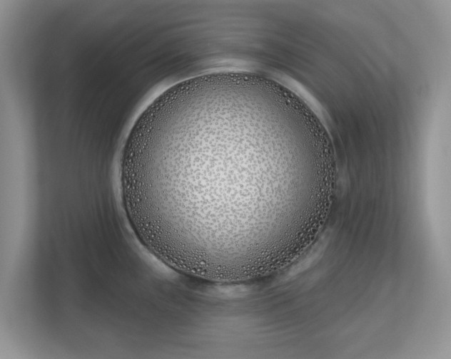 X0000110901243200906251331