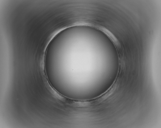 X0000110901244200906251331