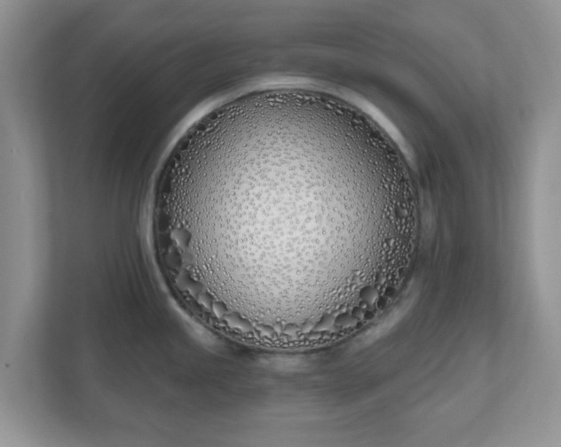 X0000110901245200906251331
