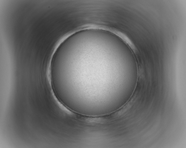 X0000110901247200906251331