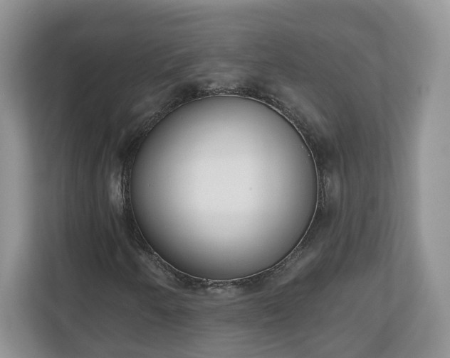 X0000110901250200906251330