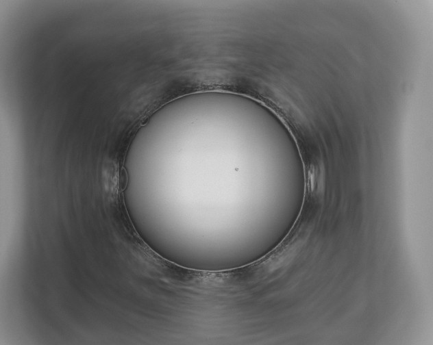 X0000110901251200906251330