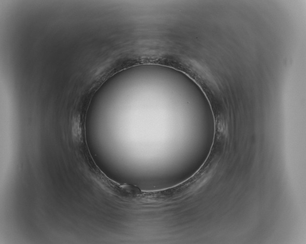X0000110901252200906251330