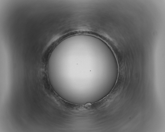 X0000110901255200906251330