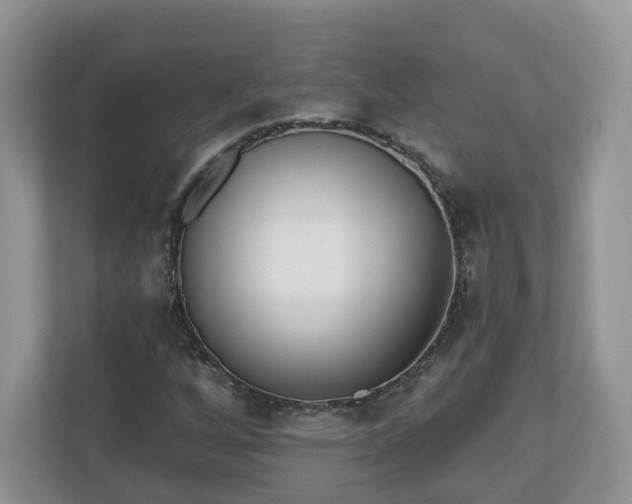 X0000110901256200906251330