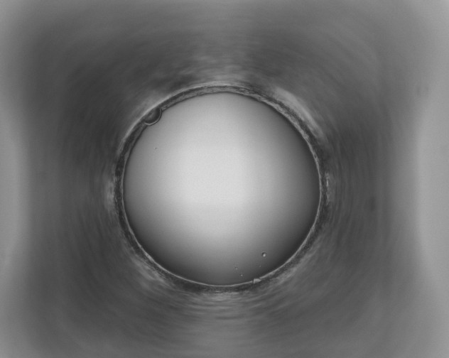 X0000110901260200906251330