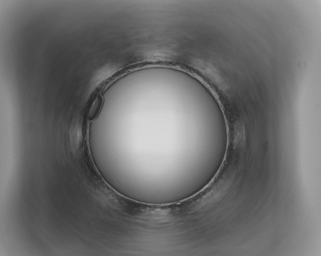 X0000110901261200906251330